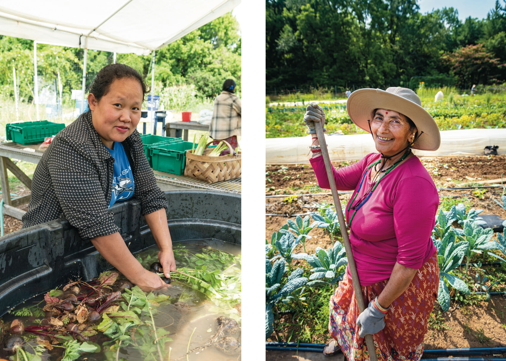 Community gardens.jpg
